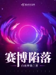 赛博陷落白夜梦我