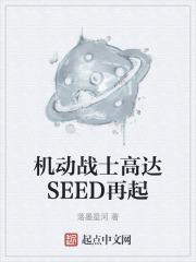 机动战士高达seed重制2013