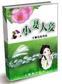 小妻大妾的简介和历史背景