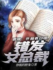 错发女总裁txt