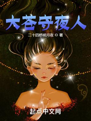 大苍守夜人作者二十四桥明月夜