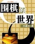 围棋的世界冠军是谁