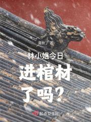 林小姐是哪一本书的重要人物?