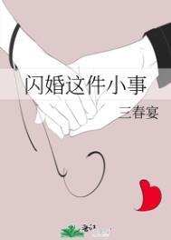 闪婚这件小事TXT