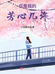 你是我的芬芳歌曲