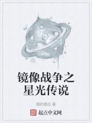 镜像战争之星光传说的后续