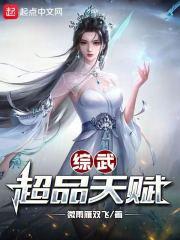 综武系统