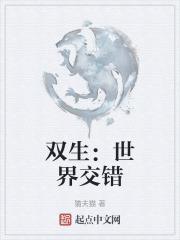 双生世界是什么意思