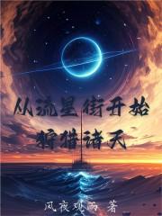 从流星街走出来的穿越者txt