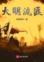 大明流匪笔趣阁无错版