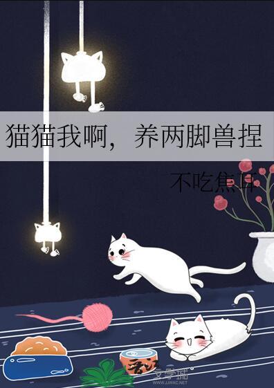 猫猫我啊养两脚兽捏免费阅读