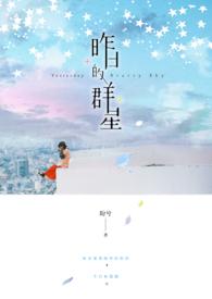 昨日的星空 pdf