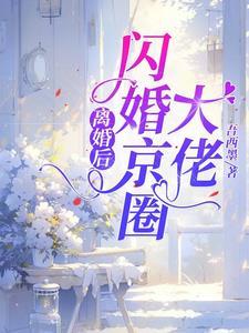 闪婚京圈大佬吾西墨 / 著