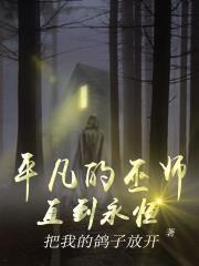 平凡魔法师作品