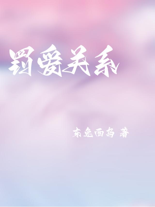 爱与罚简介