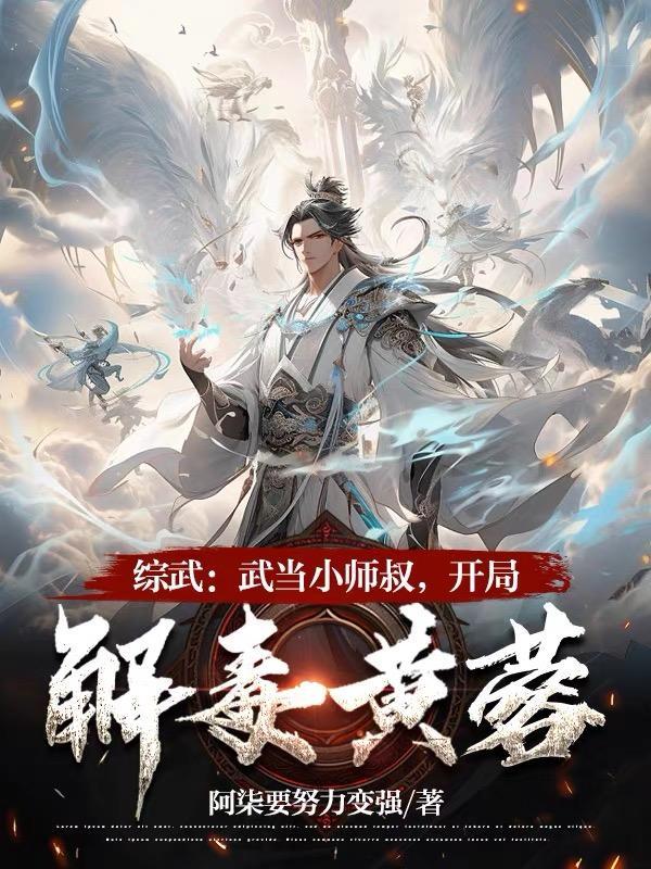 武侠之武当小师弟飞