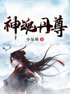 神魂至尊慕枫大师好坏?