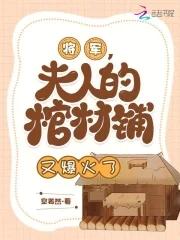 将军夫人又去打官司