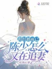 假结婚都市