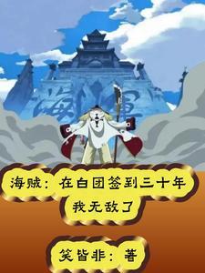 海贼白团长子全文免费阅读