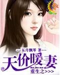 重生暖婚甜妻完整版