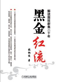 黑金红流 天津 新集公司