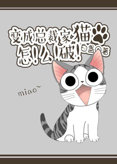 总裁变成猫白一航