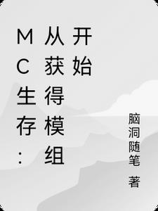 MC生存：从获得模组开始